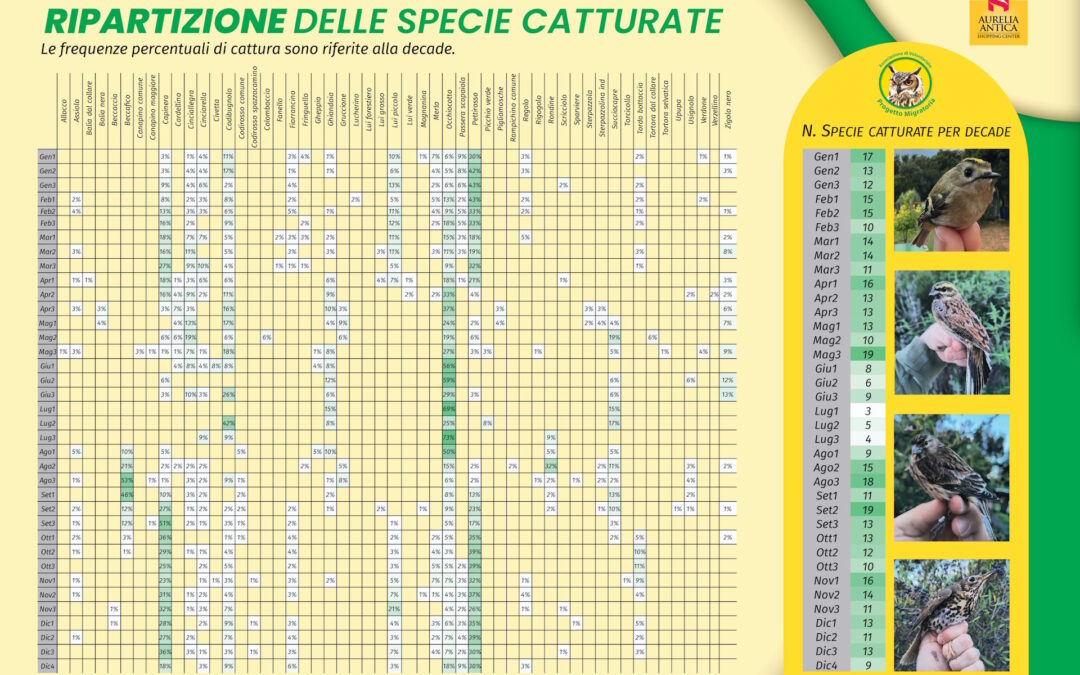 Analisi della Ripartizione delle Specie
