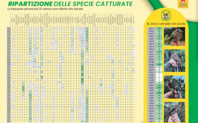 Analisi della Ripartizione delle Specie
